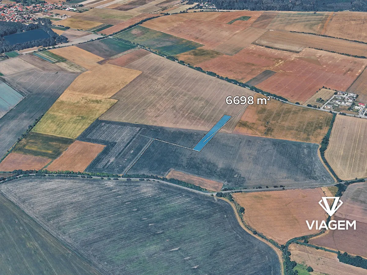Prodej pole 5925 m²