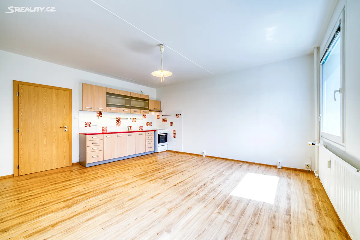 Pronájem bytu 1+kk 32 m², Plzeň