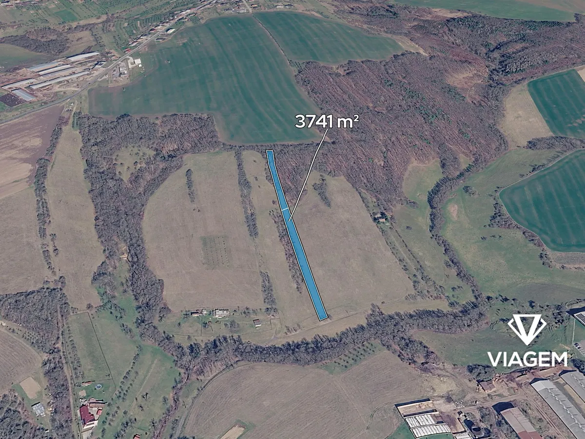 Prodej podílu 5/8 pole 2338 m²