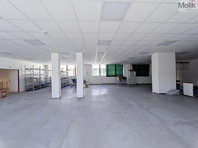 Gewerbefläche zur Miete, 351 m² (3 von 16)