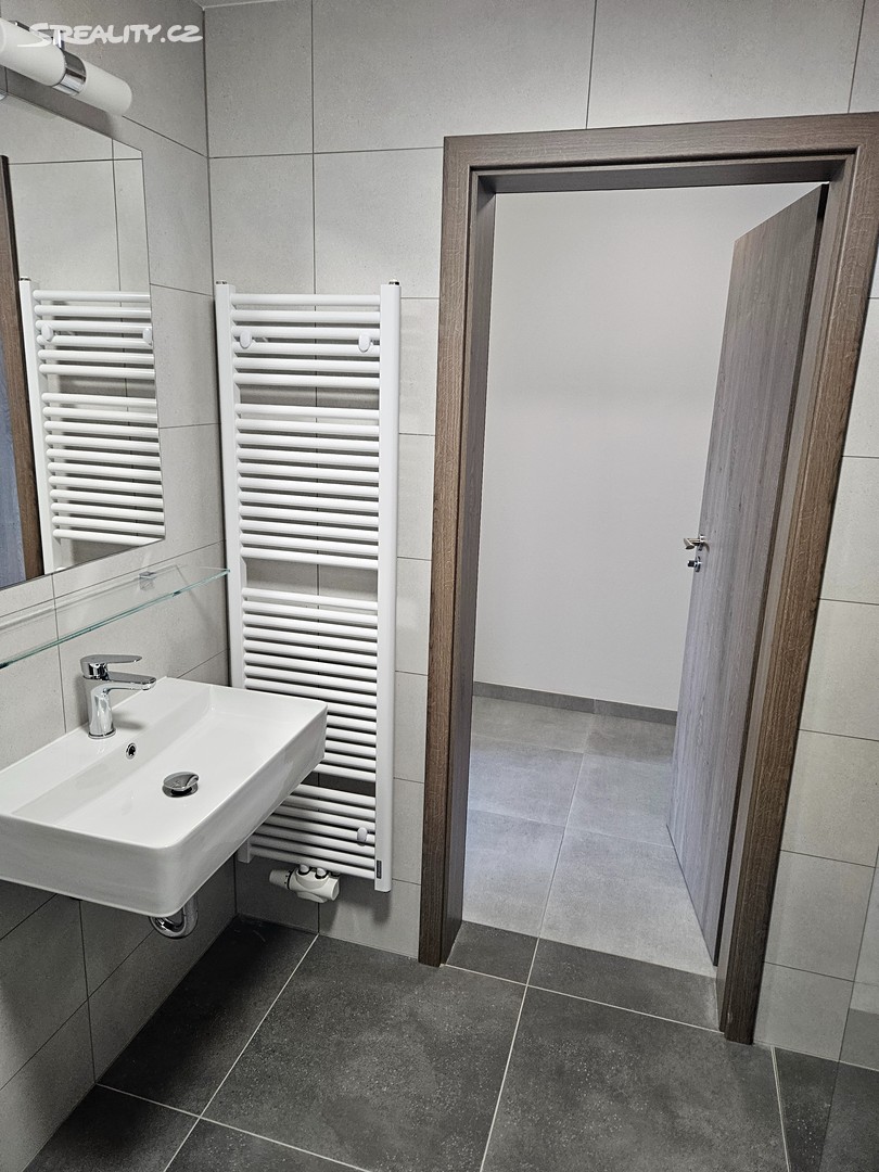 Pronájem bytu 1+kk 32 m² (Jednopodlažní) - Widok 4