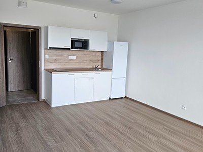 Pronájem bytu 1+kk 32 m² (Jednopodlažní) — photo 2