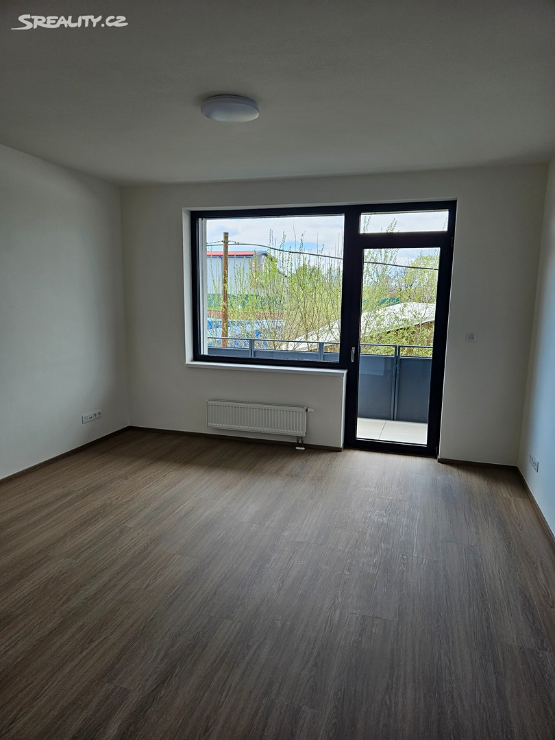 Pronájem bytu 1+kk 32 m² (Jednopodlažní), Plzeň