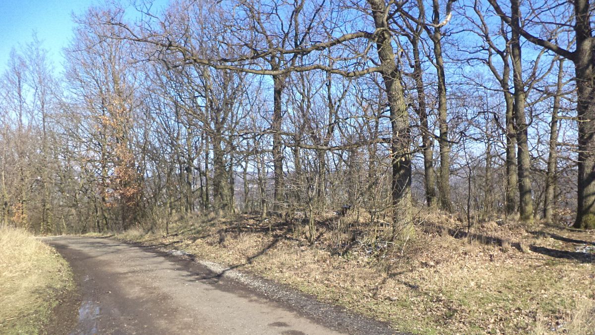 Prodej pozemku 7064 m²