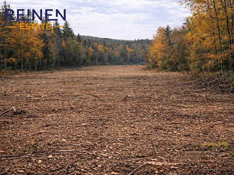 Prodej lesa 30286 m², Hubenov – náhled fotky 1