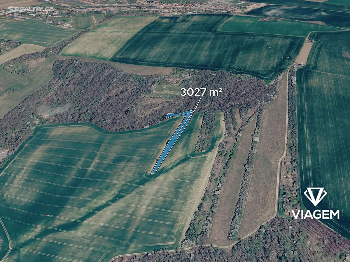Prodej lesa 3027 m², Bučovice