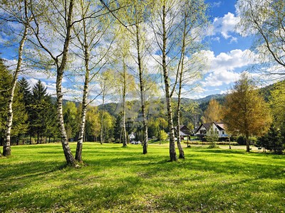 Prodej  zahrady 770 m²