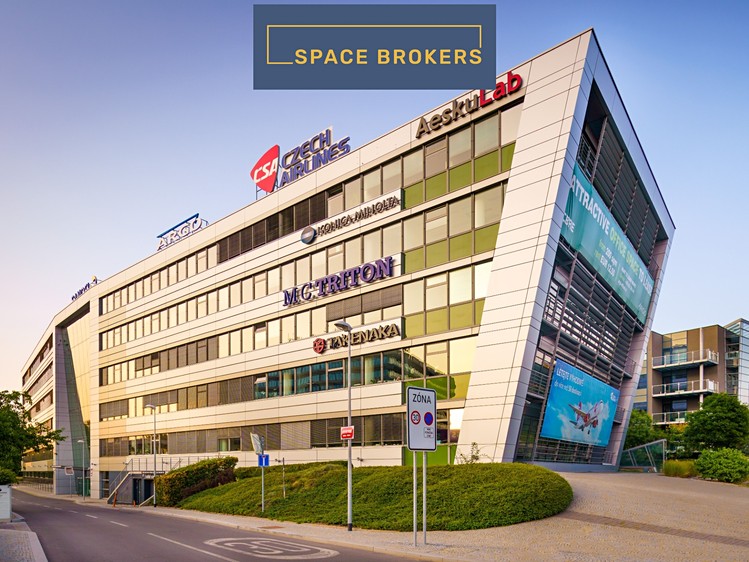 Gewerbefläche zur Miete, 1.000 m² (1 von 11)