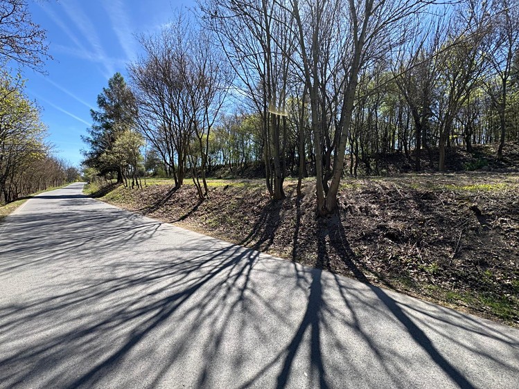 Grundstück zum Kauf, 1.140 m² (11 von 37)