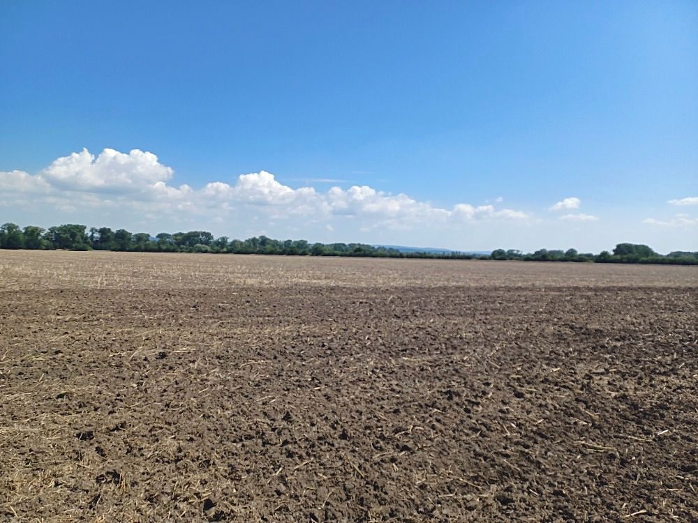 Prodej stavebního pozemku 43000 m² – fotografie 2