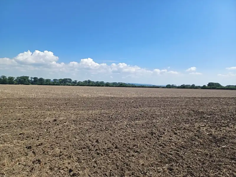 Prodej stavebního pozemku 43000 m², Horka nad Moravou – náhled fotky 2