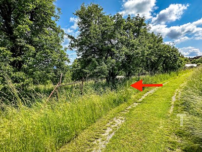 Prodej  stavebního pozemku 708 m² — photo 4