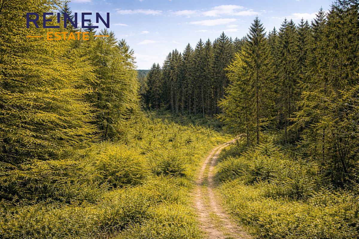 Prodej lesa 57952 m²