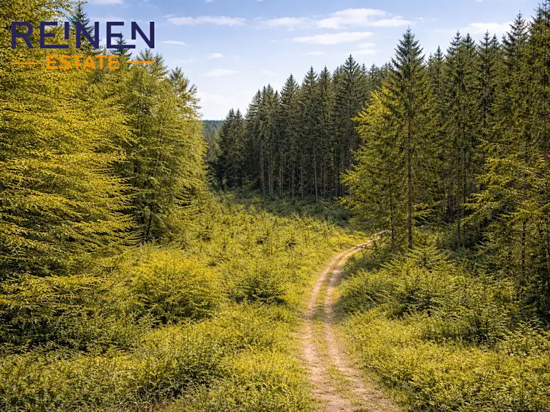 Prodej lesa 57952 m², Železný Brod – náhled fotky 1