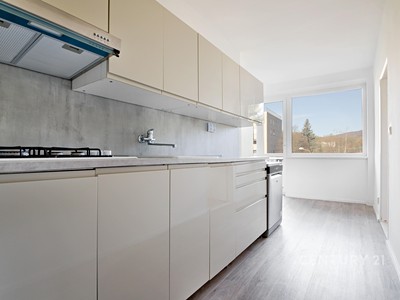 Pronájem bytu 3+1 89 m²