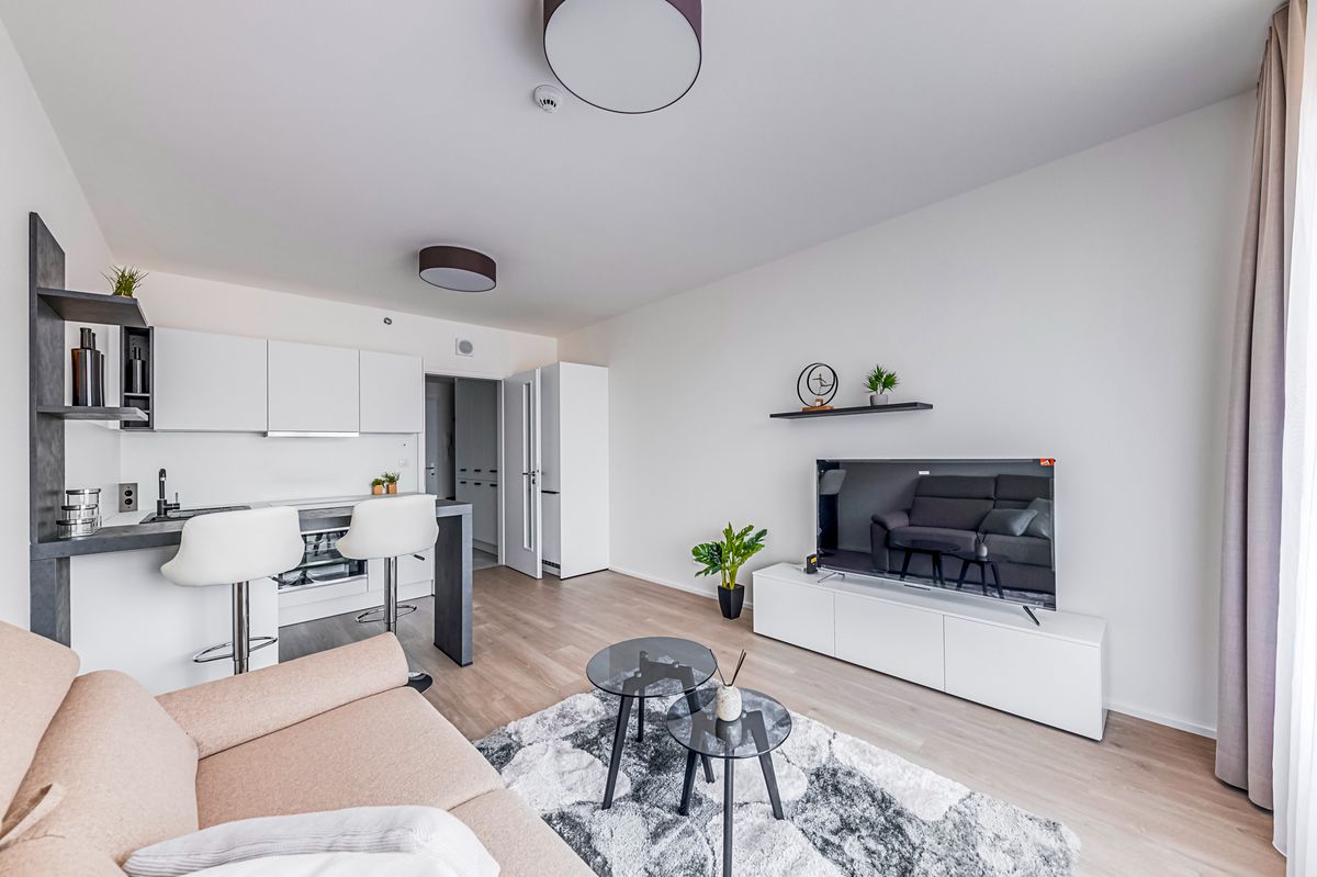 Pronájem bytu 1+kk 30 m² – fotografie 3
