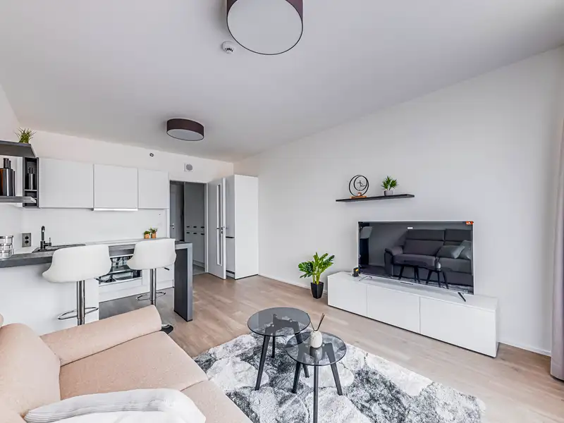 Pronájem bytu 1+kk 30 m², Praha – náhled fotky 3