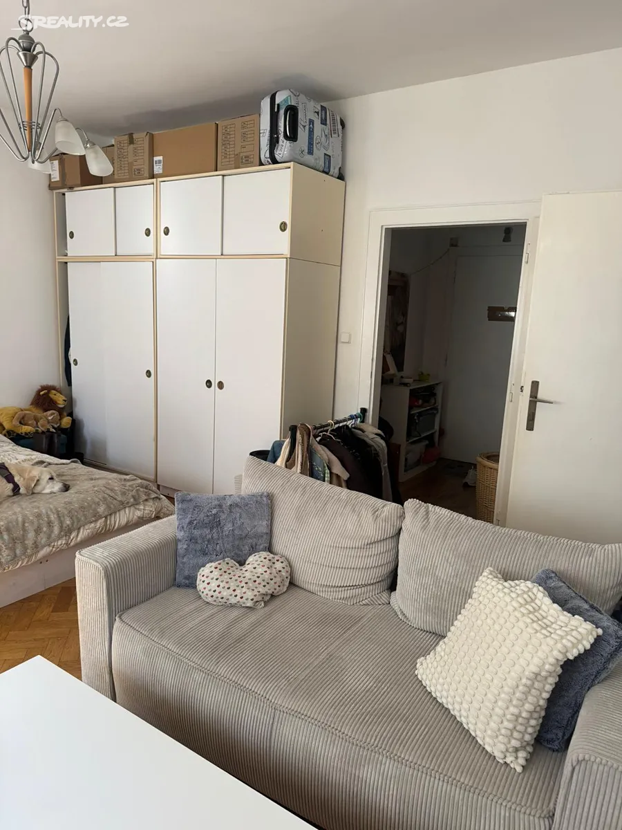 Pronájem bytu 1+1 48 m² – pohled 5