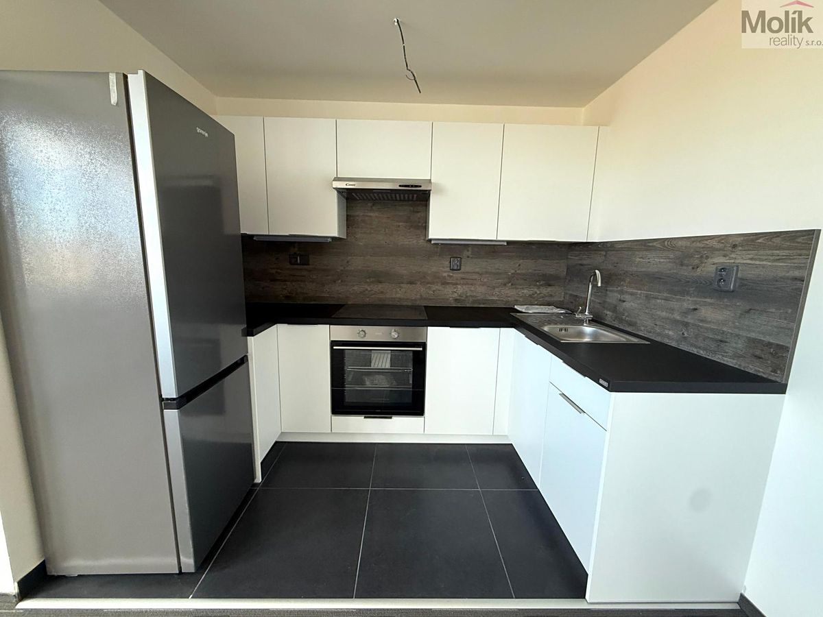 Pronájem bytu 3+kk 103 m² – fotografie 4