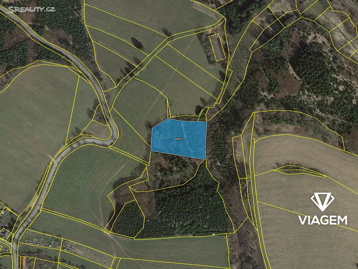 Prodej lesa 6061 m² – pohled 4