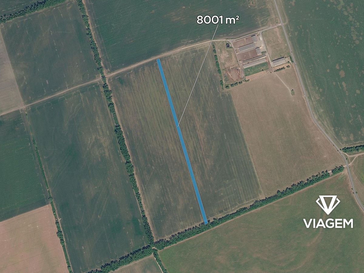 Prodej pole 8001 m² – fotografie 2