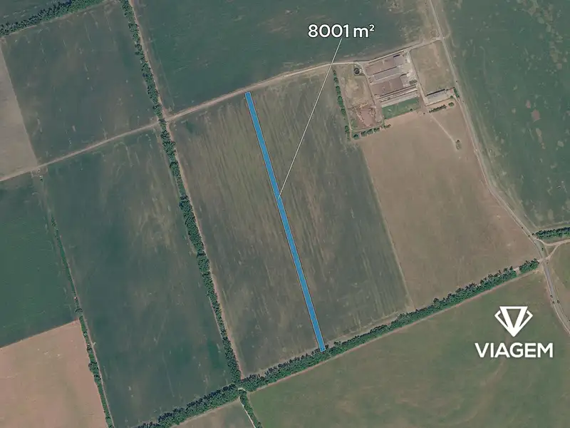 Prodej pole 8001 m², Nivnice – náhled fotky 2