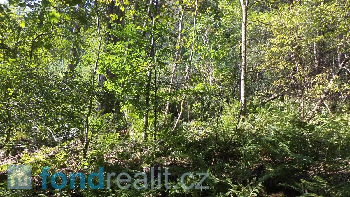 Prodej pole 14721 m² – pohled 2