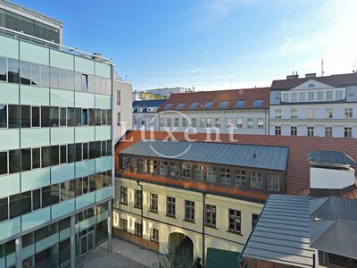 Pronájem kanceláře 300 m²