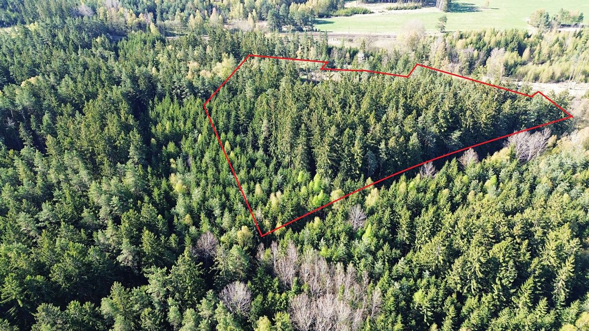 Prodej lesa 32111 m², Bednáreček – fotka 1 z 3