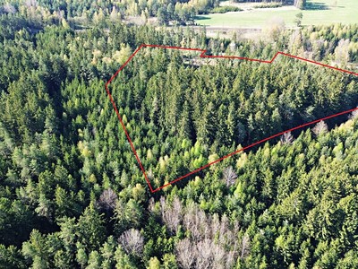 Prodej  lesa 32 111 m²
