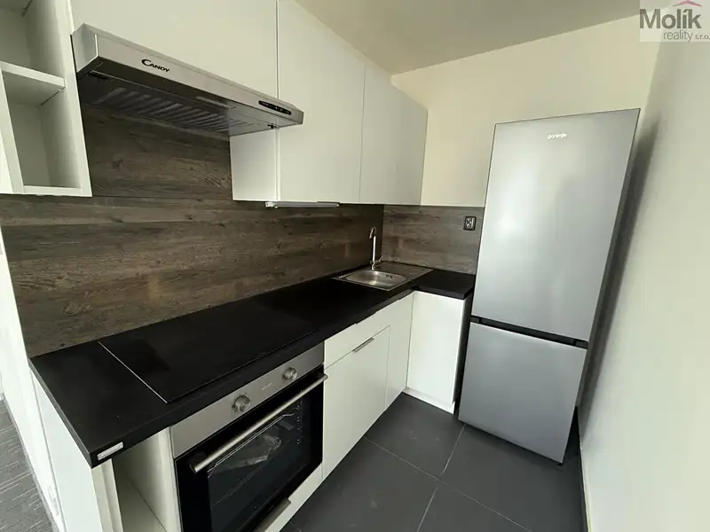 Pronájem bytu 2+kk 50 m², Chomutov – náhled fotky 1