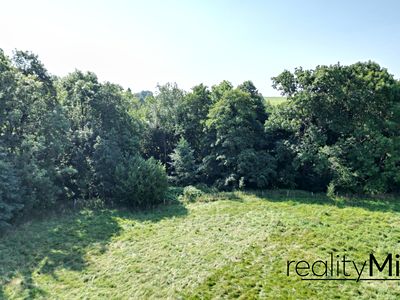 Prodej louky 1044 m²