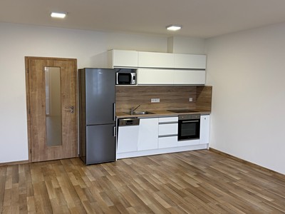 Pronájem bytu 1+kk 41 m² (Jednopodlažní)