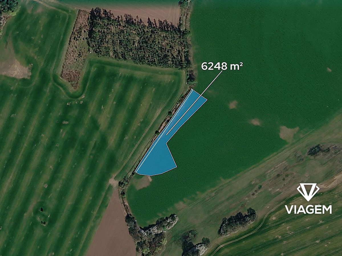 Prodej pole 6248 m² – fotografie 2