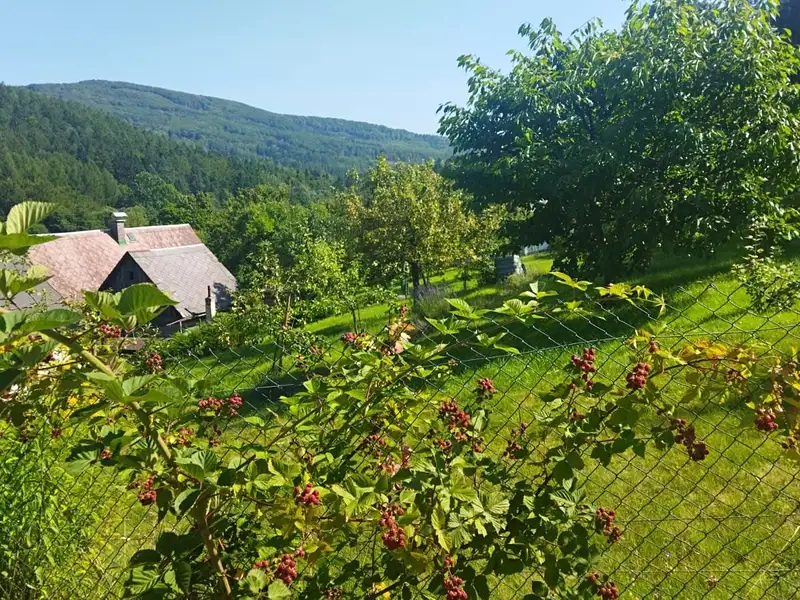 Prodej chalupy 150 m², pozemek 876 m², Jiřetín pod Jedlovou – náhled fotky 3