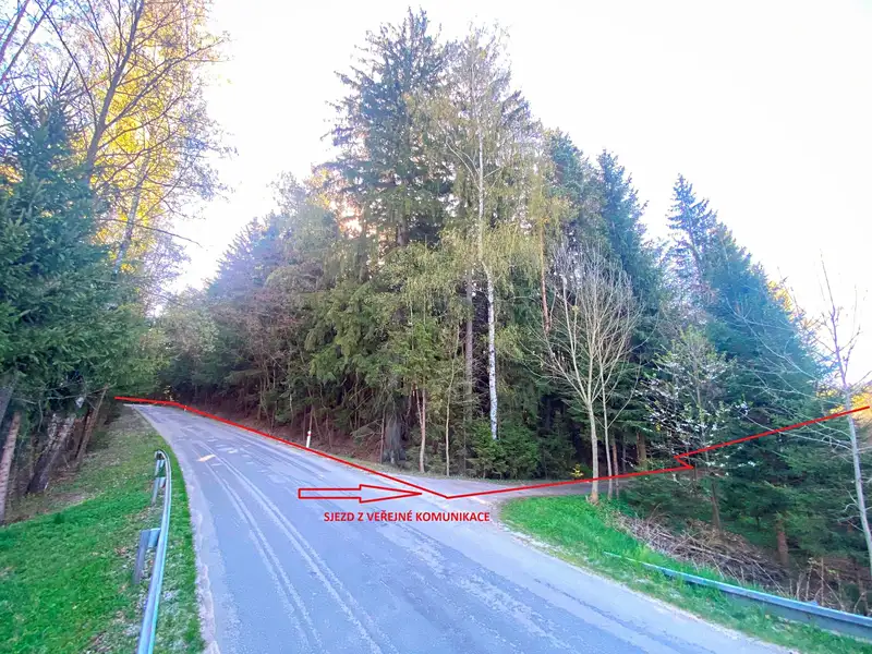 Prodej lesa 32111 m², Bednáreček – náhled fotky 3