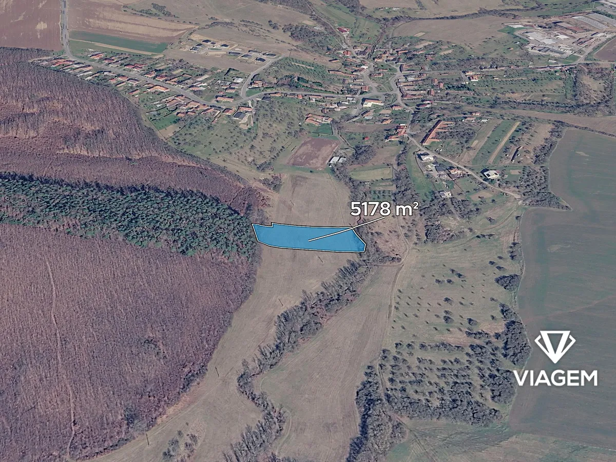 Prodej podílu 5/8 pole 3236 m²