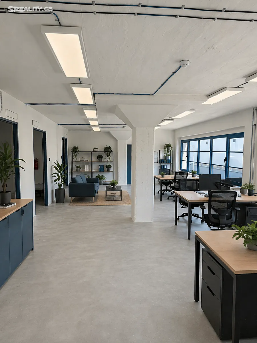 Pronájem kanceláře 196 m² - Widok 6