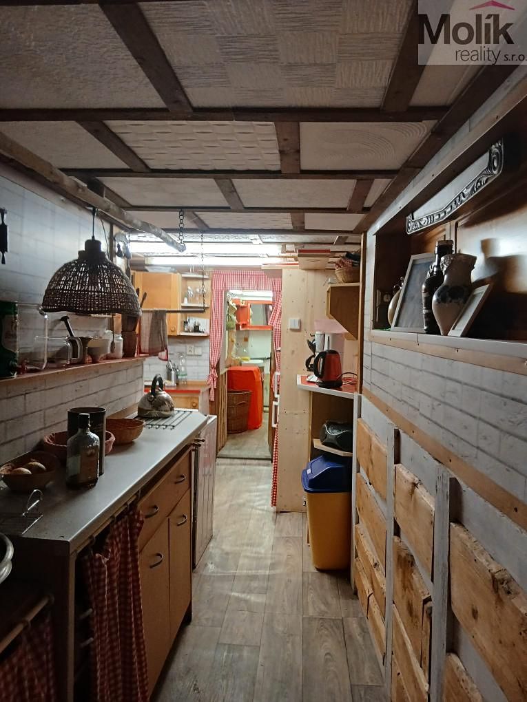 Prodej chalupy 250 m², pozemek 958 m² – fotografie 4