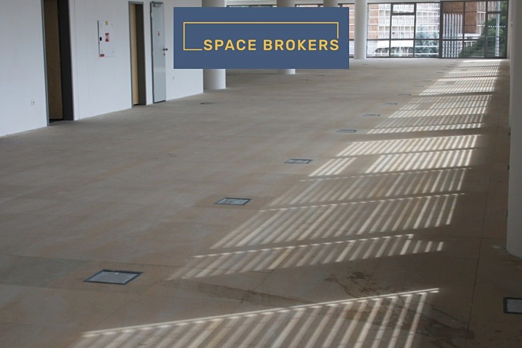 Gewerbefläche zur Miete, 1.000 m² (4 von 11)
