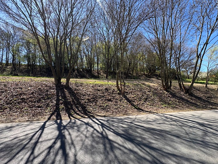 Grundstück zum Kauf, 1.140 m² (13 von 37)