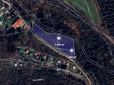 Prodej lesa 4648 m²