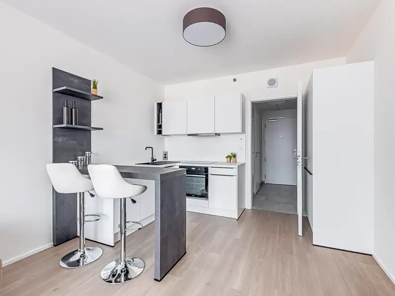 Pronájem bytu 1+kk 30 m², Praha – náhled fotky 2