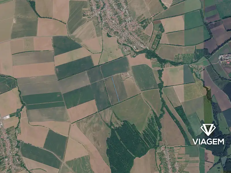 Prodej pole 8001 m², Nivnice – náhled fotky 3