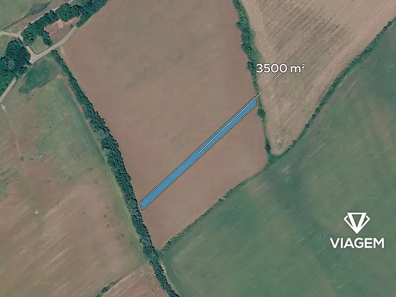 Prodej pole 3500 m², Drslavice – náhled fotky 2