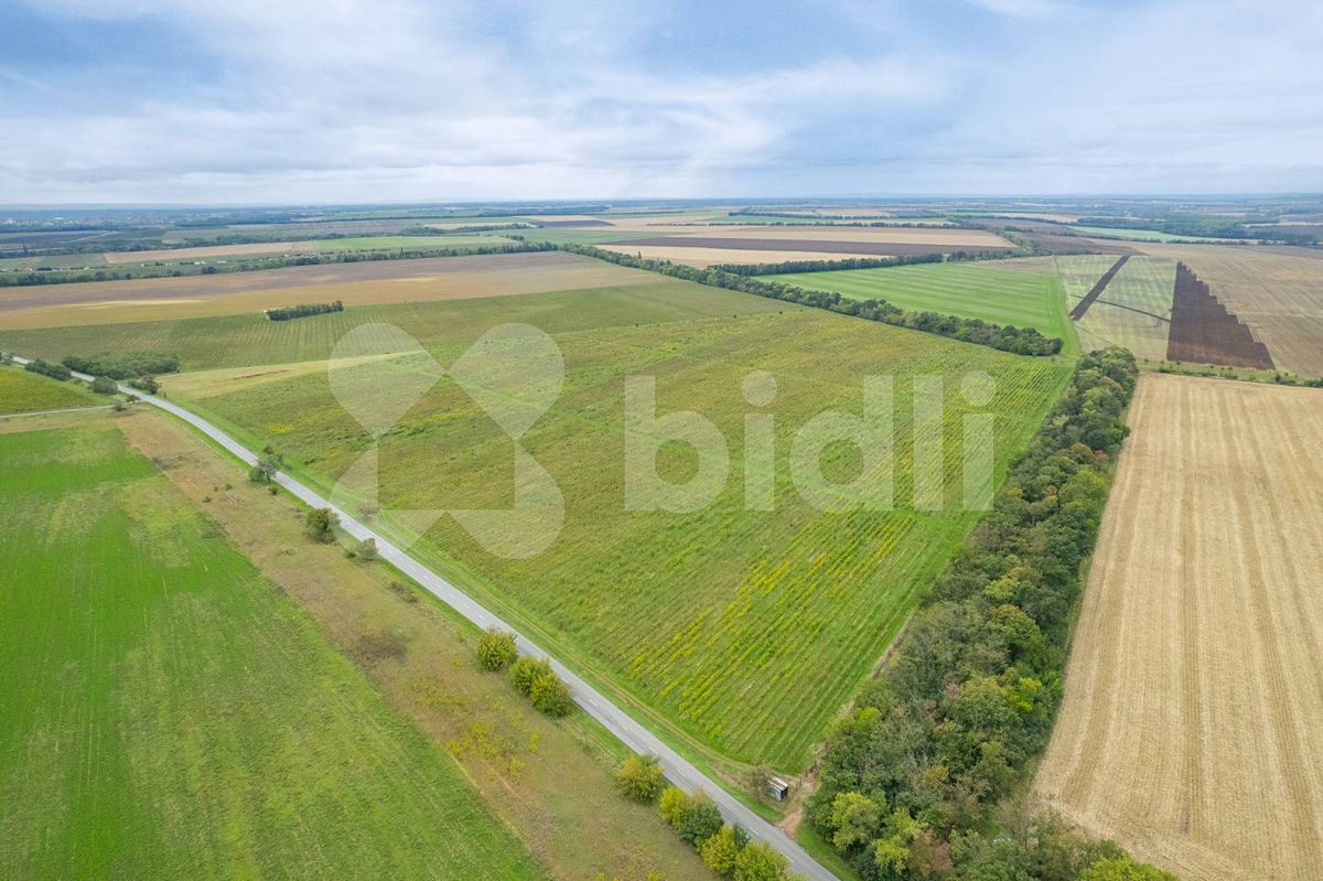 Prodej pole 232138 m²