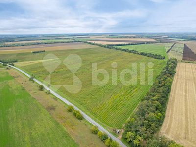 Prodej pole 232138 m²