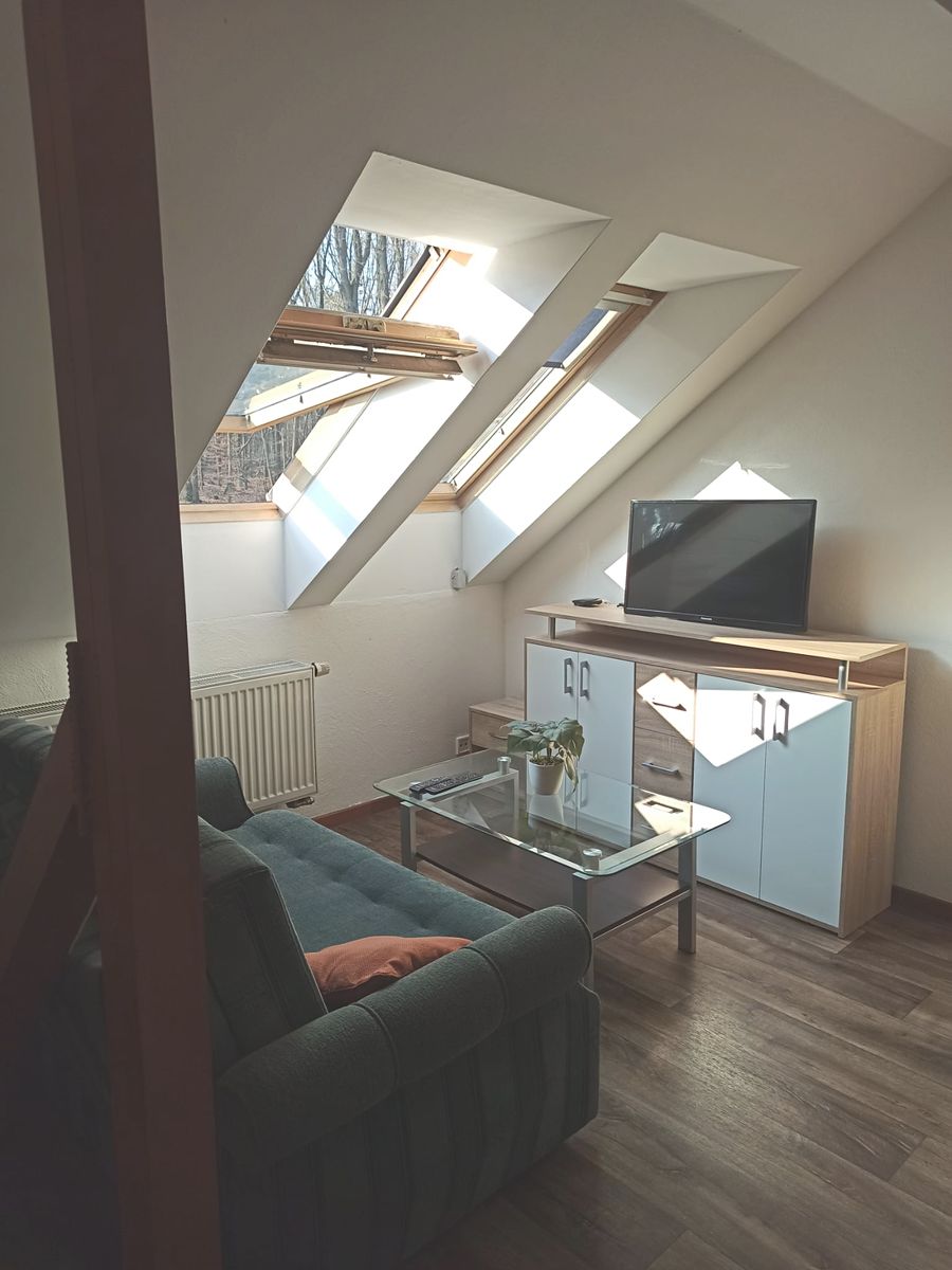 Pronájem bytu pokoje 29 m² – fotografie 4
