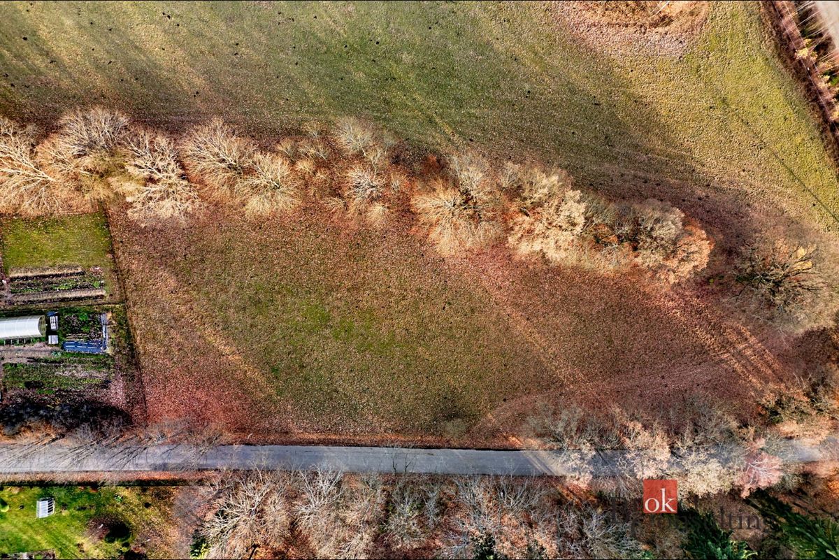 Prodej stavebního pozemku 3662 m² – fotografie 5