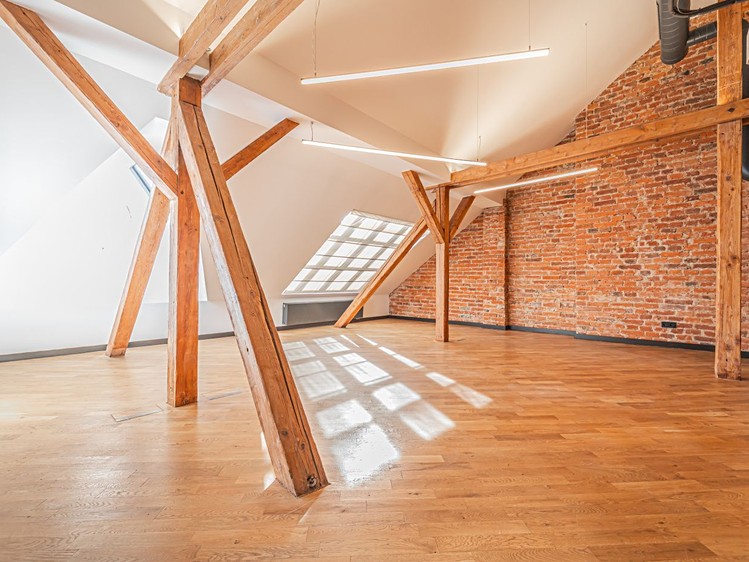 Prodej bytu 6+, 280 m² (5 z 22)